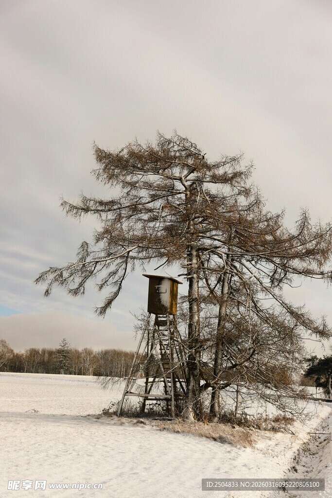 雪地中的瞭望塔与孤树