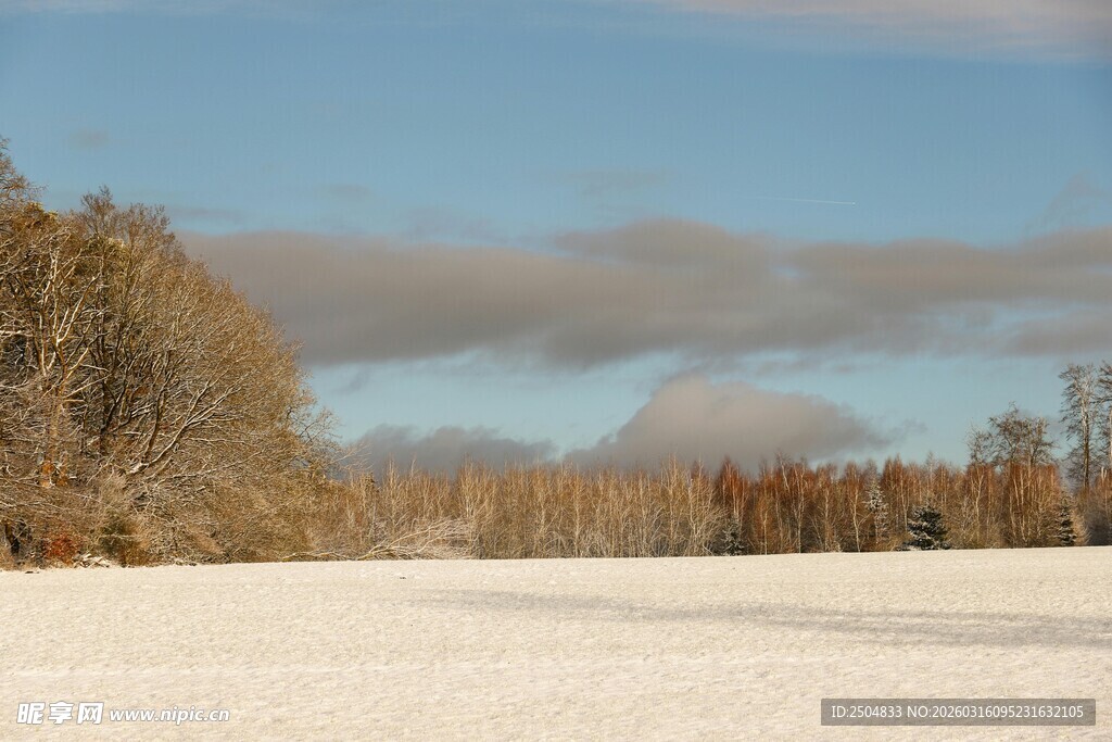 冬日雪野与树林景观