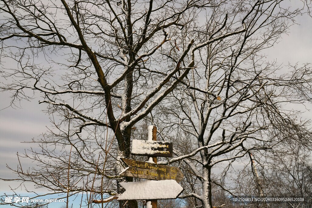 雪覆枝头的路标
