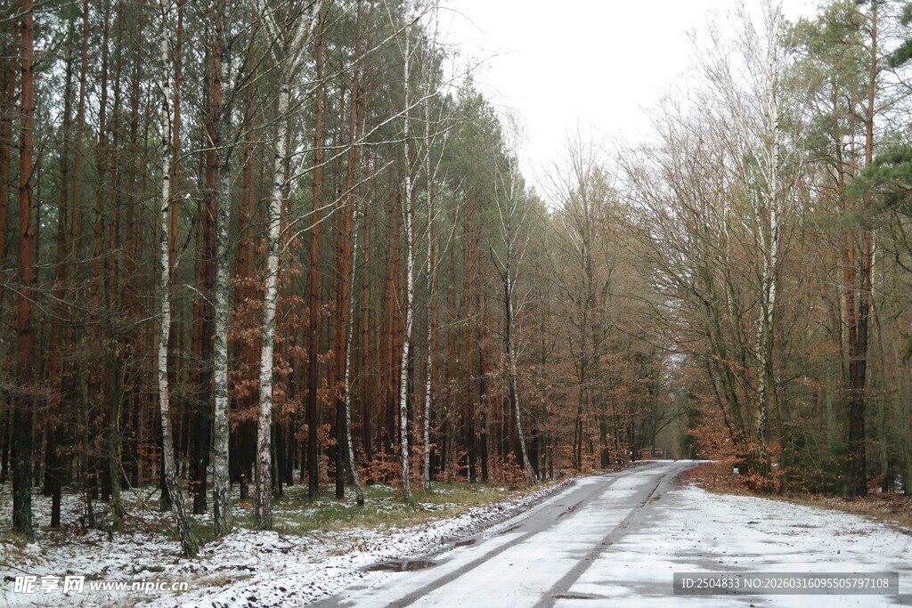 冬日林间雪覆小路