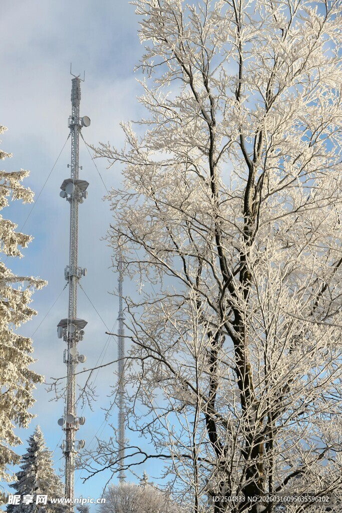 雪覆树木与通信塔