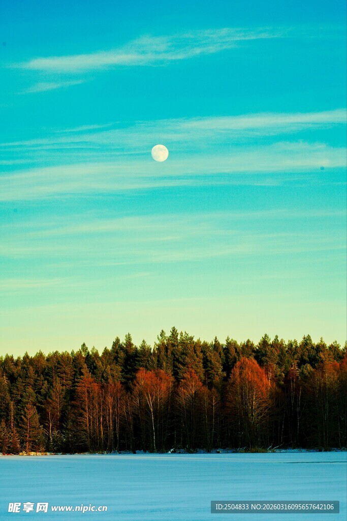 湖畔月夜 秋林静谧之景