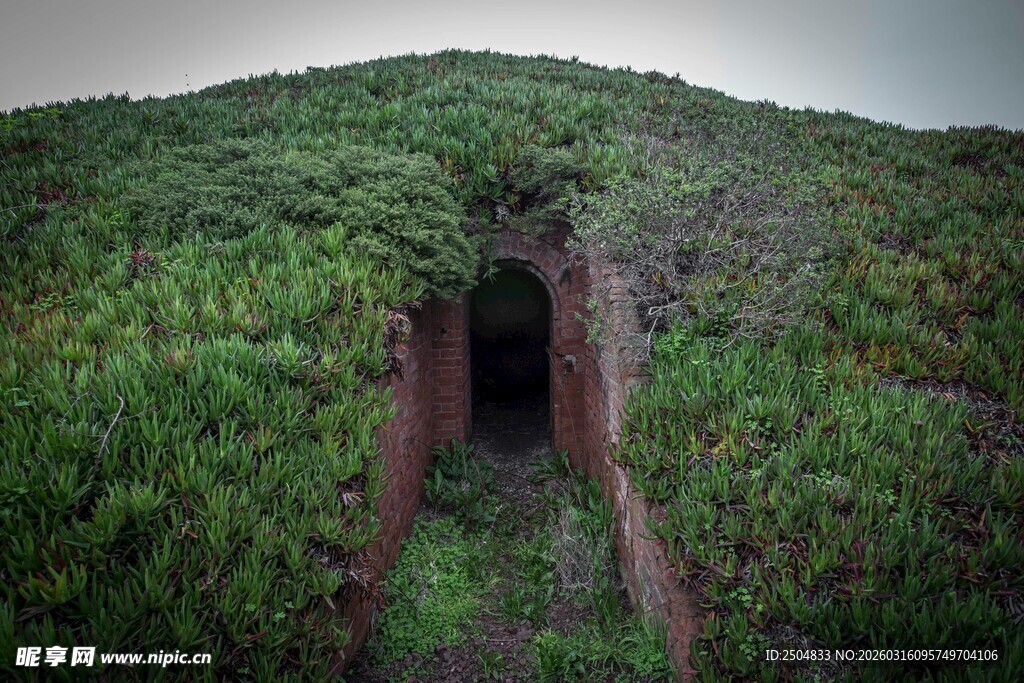 山间绿植环绕的神秘洞口