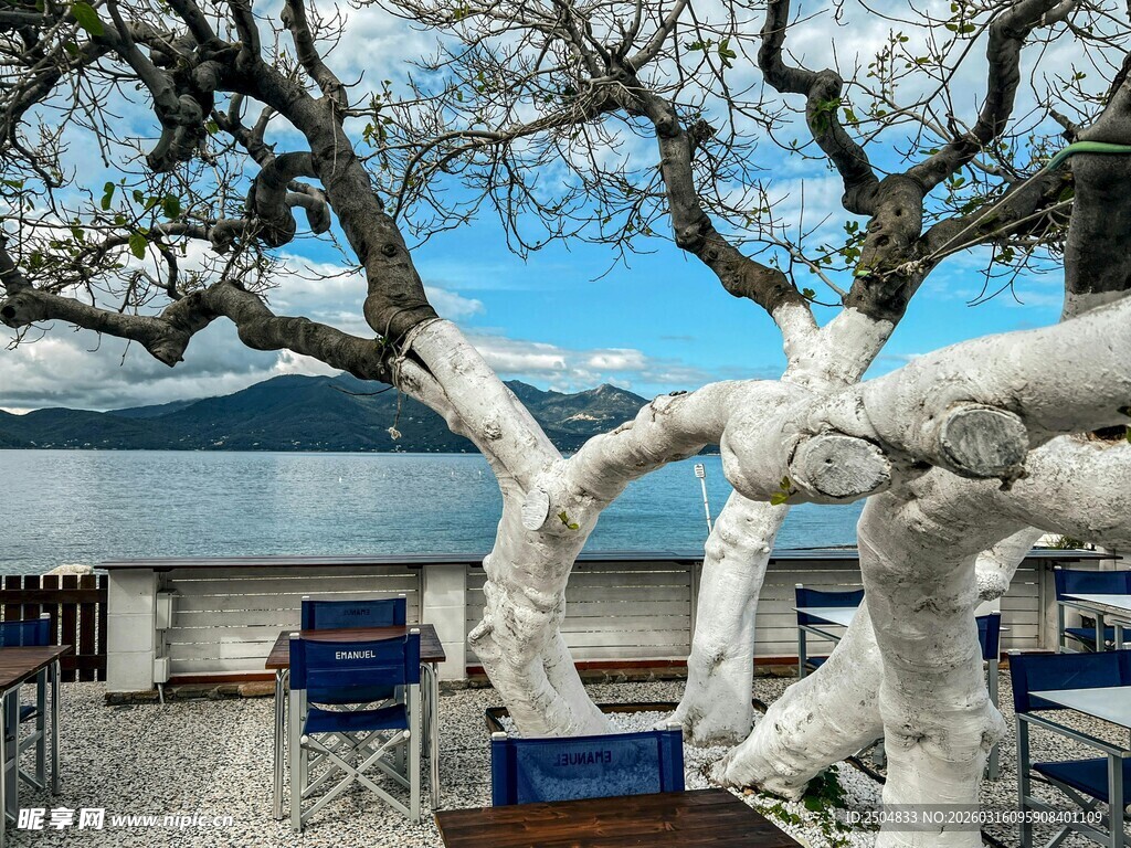 湖畔老树旁的休闲座椅