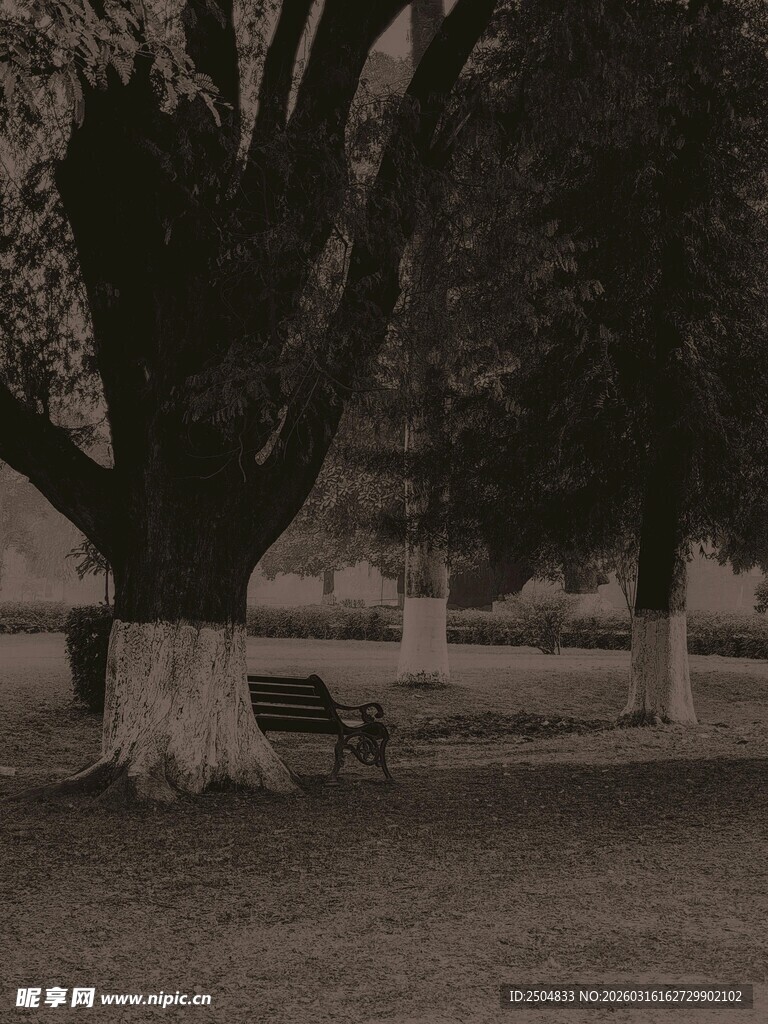 公园大树下的静谧长椅