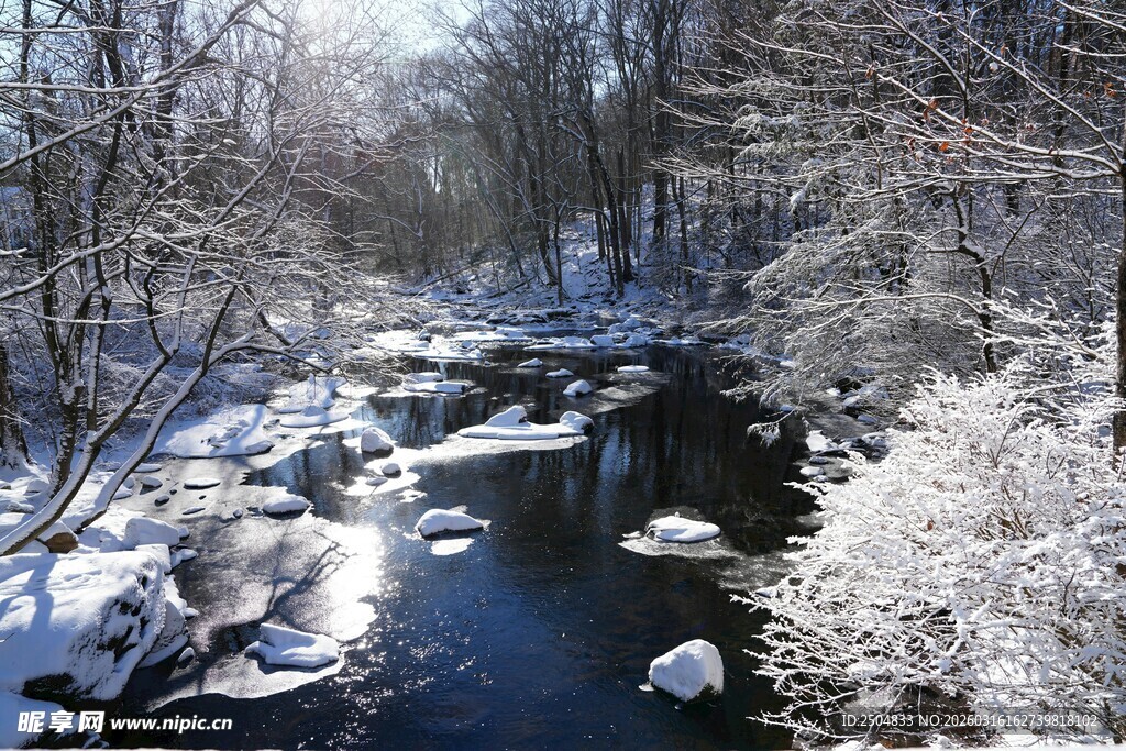 冬日雪覆溪流森林美景