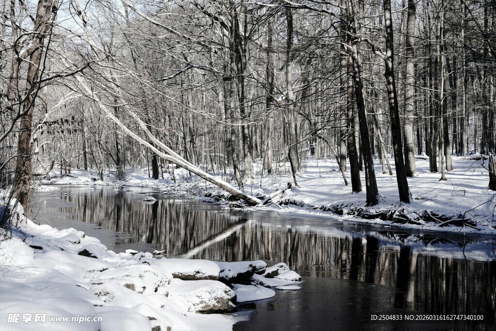 冬日雪覆河岸树林美景