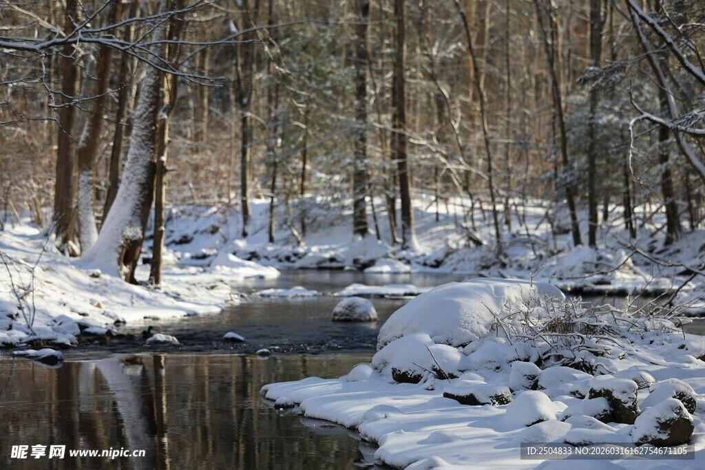 冬日雪覆林间小溪美景