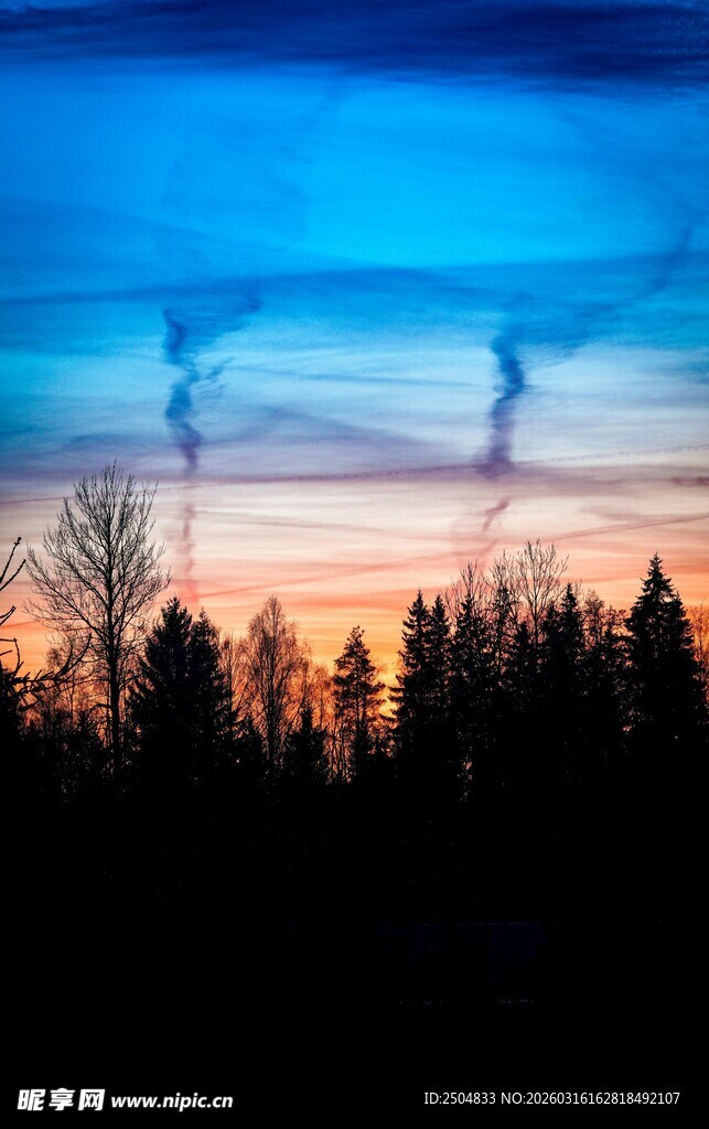 黄昏下的森林与梦幻天空