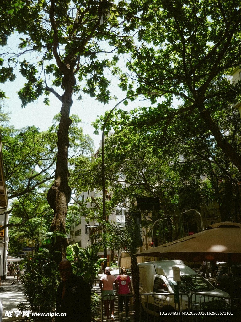 绿荫下的户外休闲场景