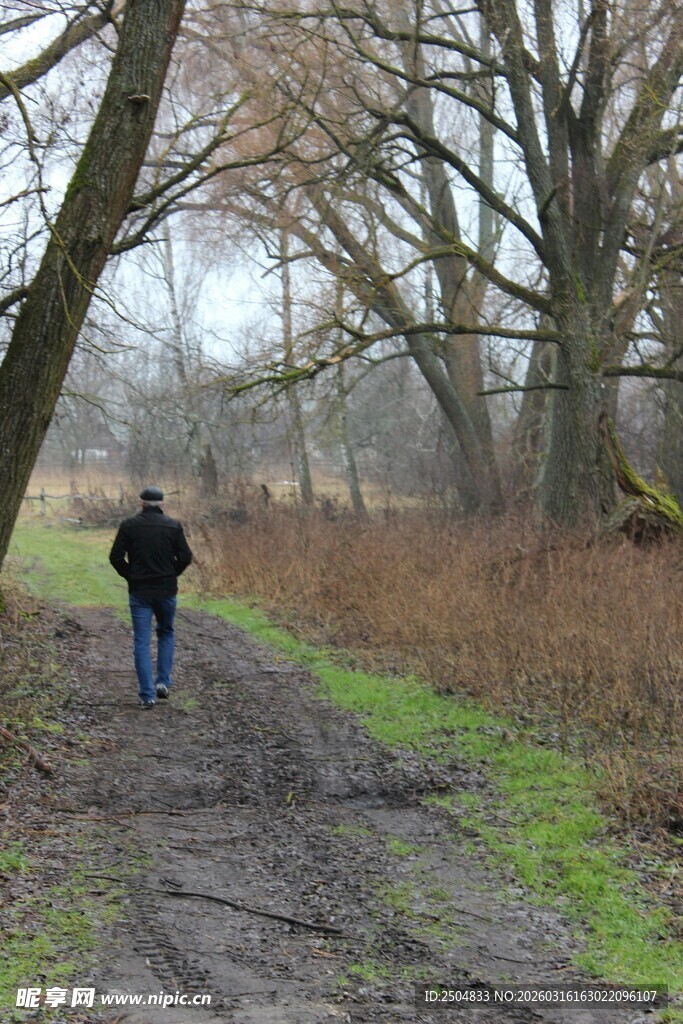 雨中漫步林间小道