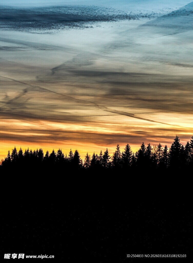 日落时分的森林剪影