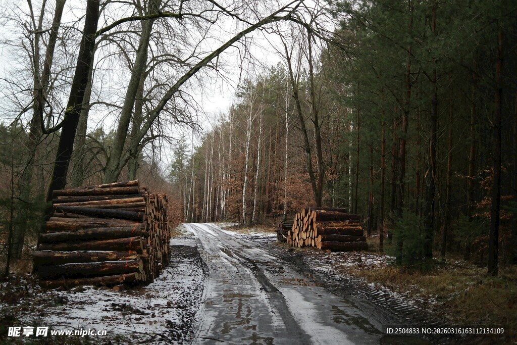 冬日林间运木之路