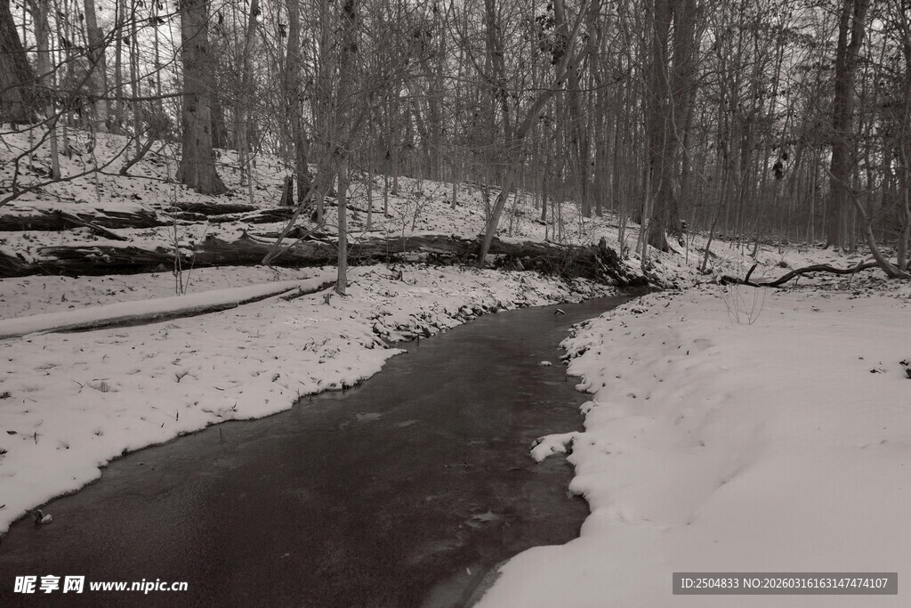 冬日林间溪流雪景
