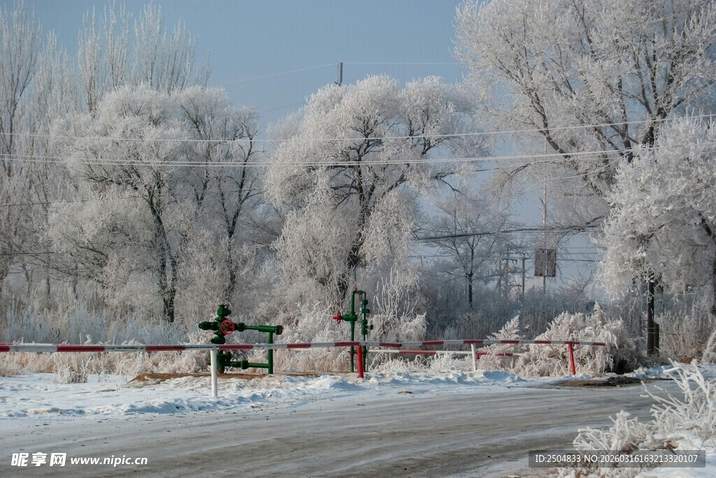 冬日雪覆道路银装素裹