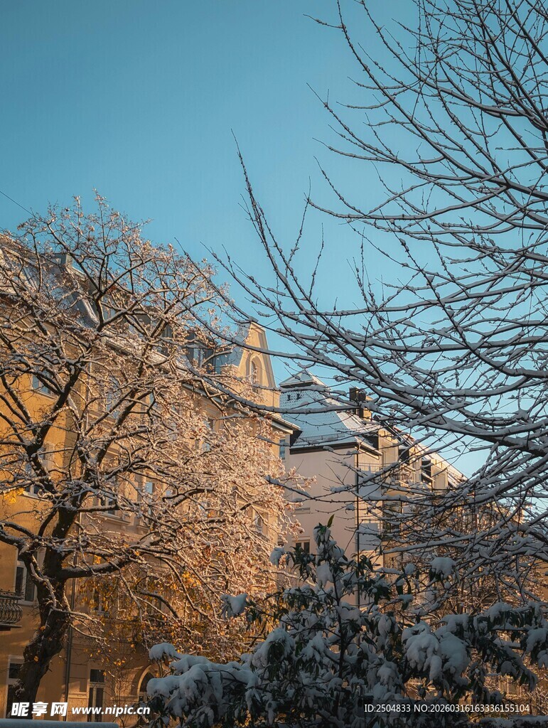 冬日雪覆建筑与树木景观
