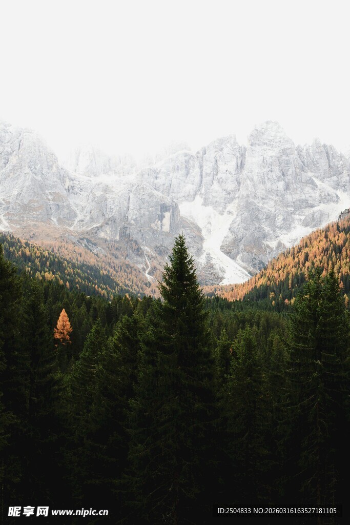山林间的雪覆山峰美景