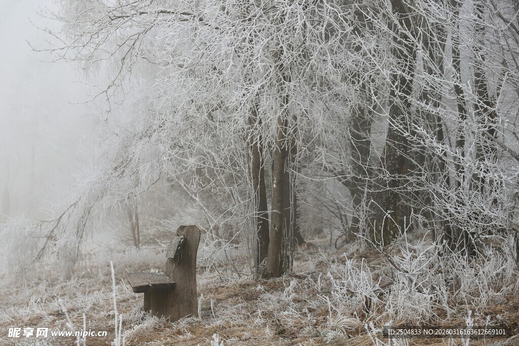 雪覆林间长椅 静谧冬景
