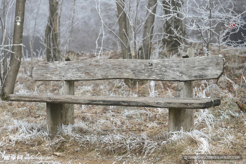 冬日林间覆霜的静谧长椅