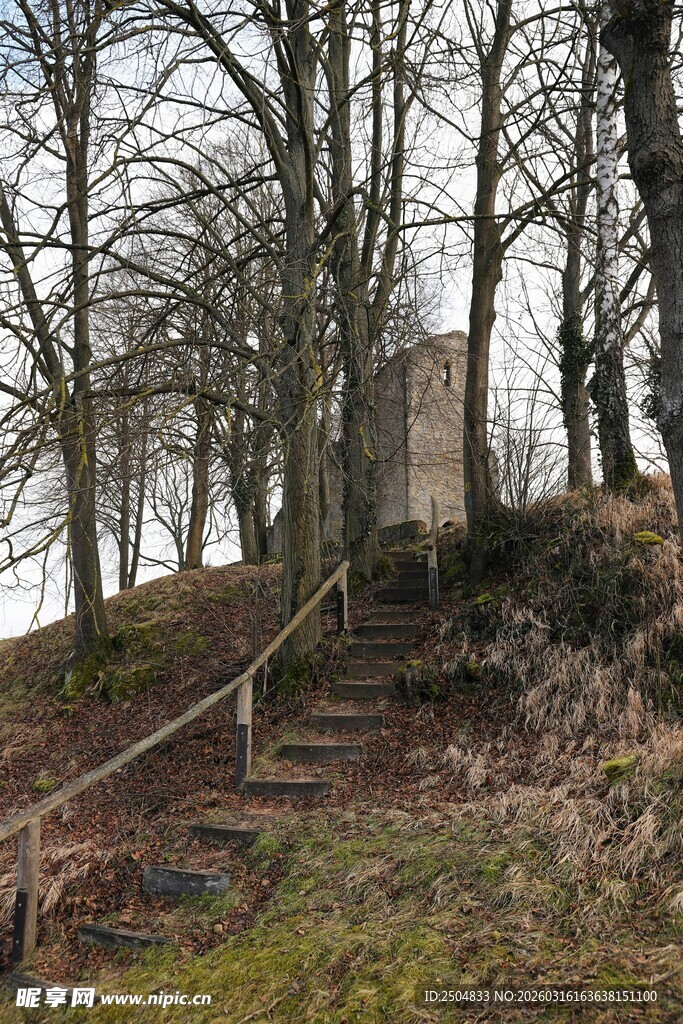 林间石阶小径与古老建筑