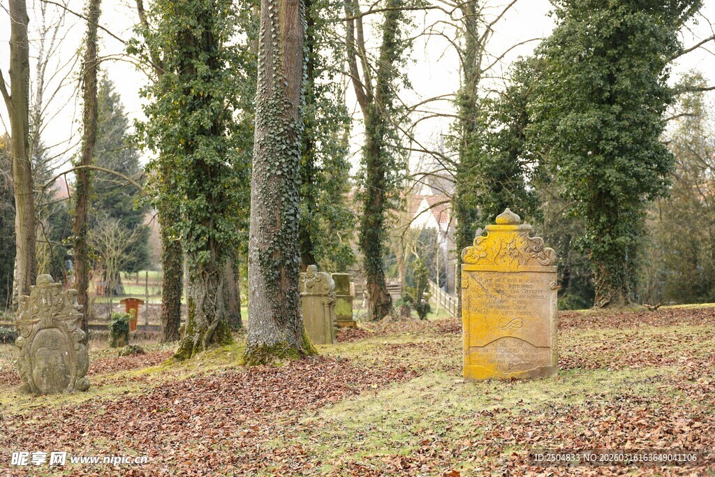 林间秋色中的黄色小屋