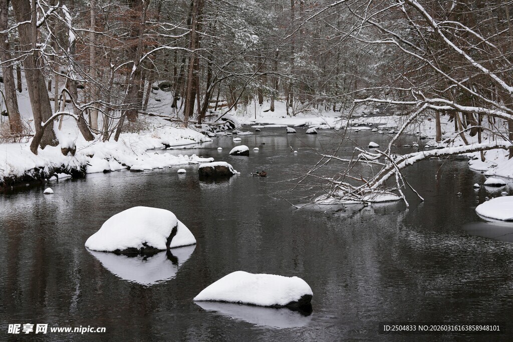 冬日雪覆溪流静谧美景