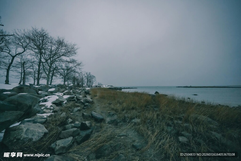 湖畔萧瑟冬景