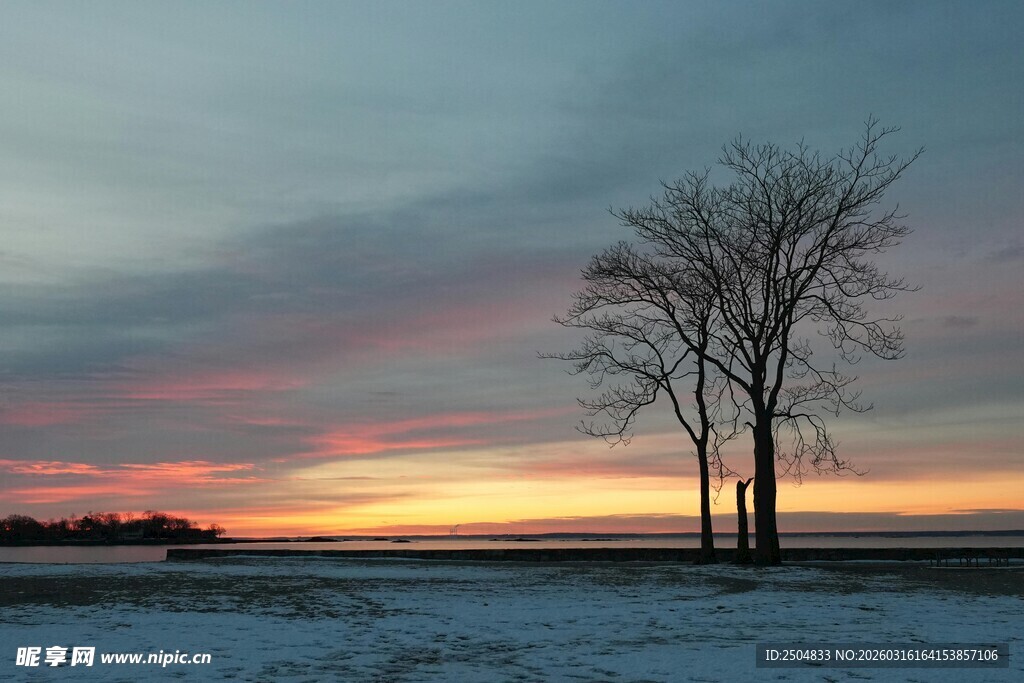 冬日旷野的落日孤树美景