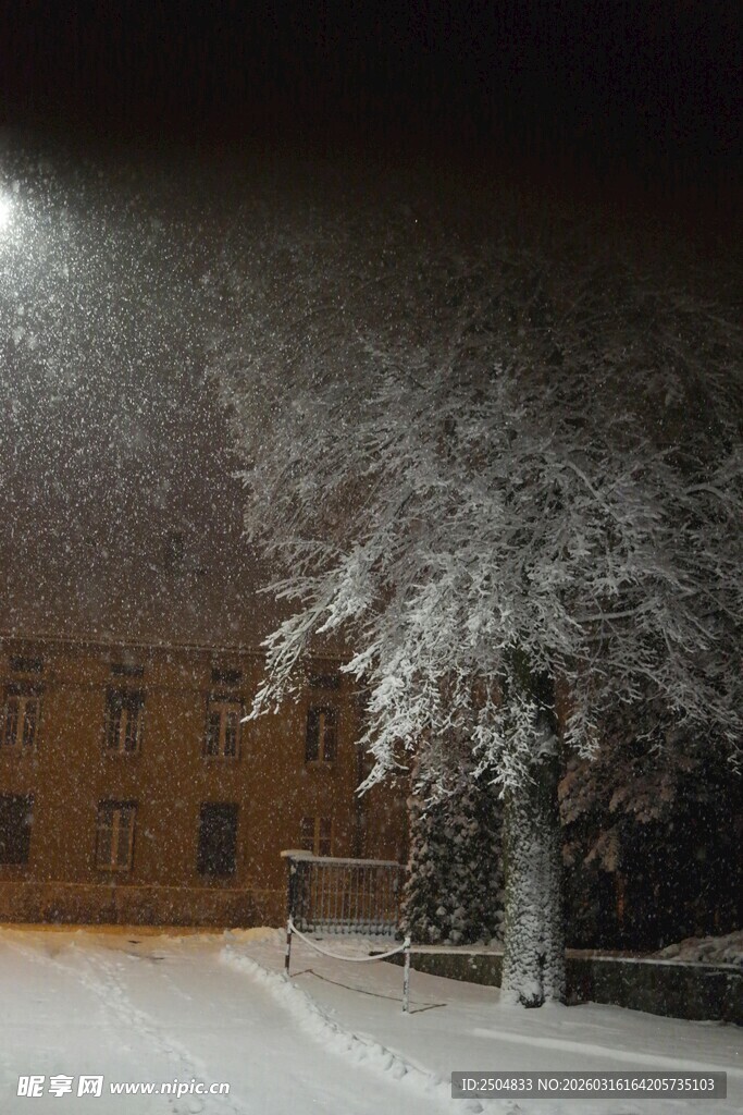 雪夜中的树木与路灯