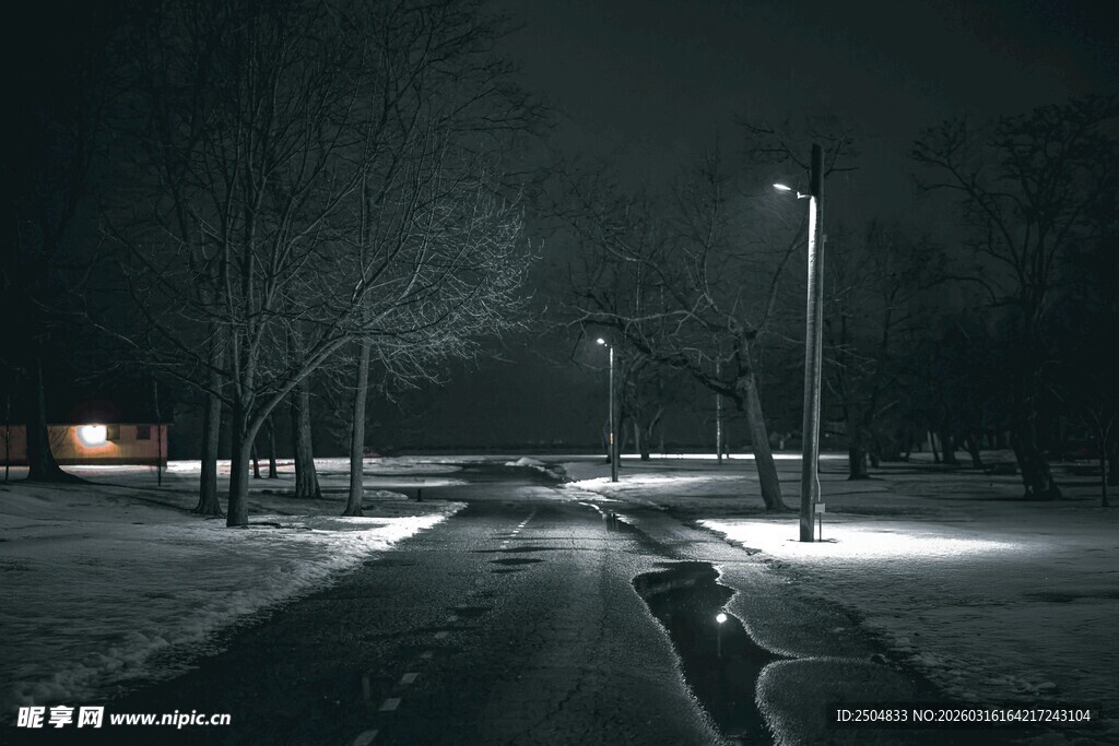雪夜路灯下的静谧街道