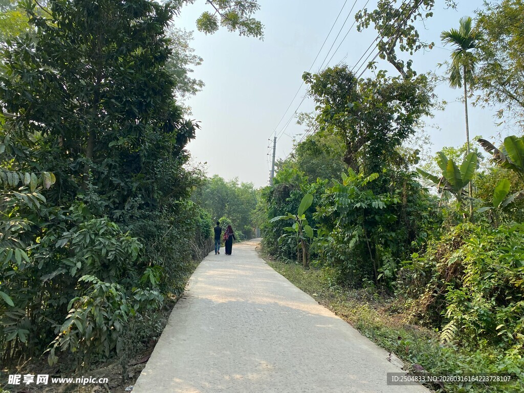 林间小道上的漫步身影