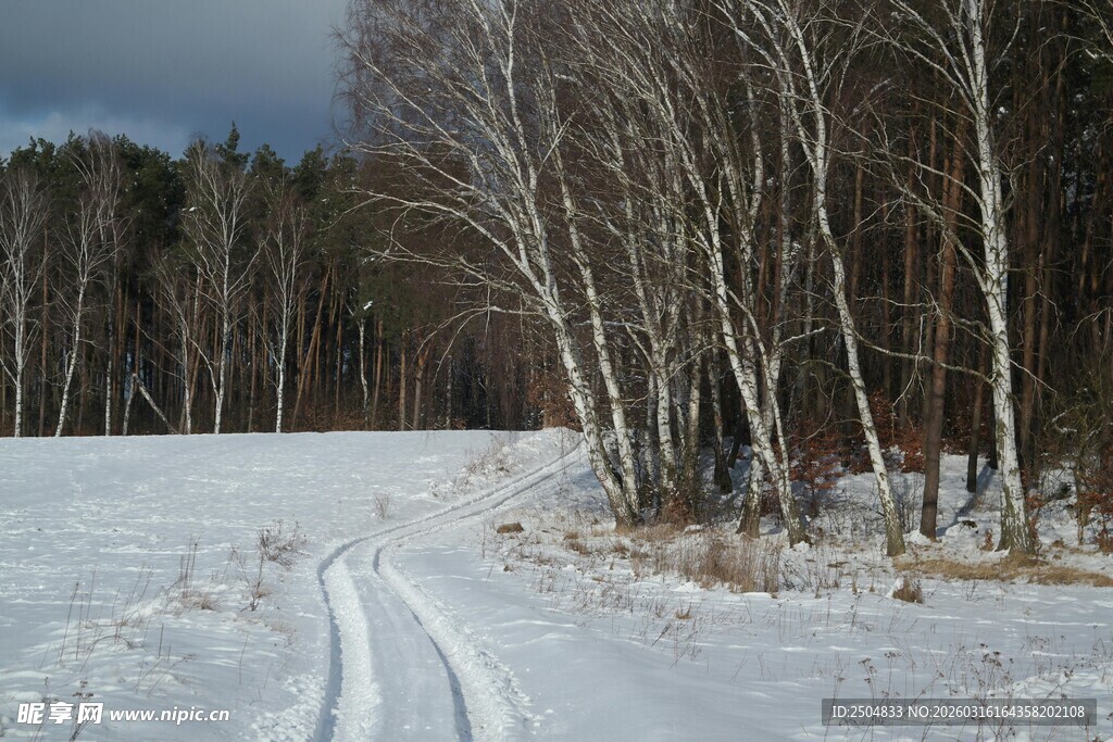 冬日雪地林间车辙景象