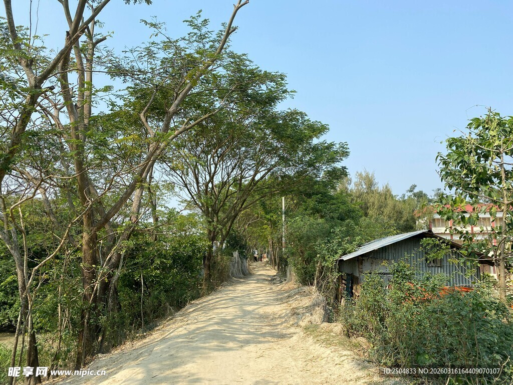 乡村小道旁的简易小屋
