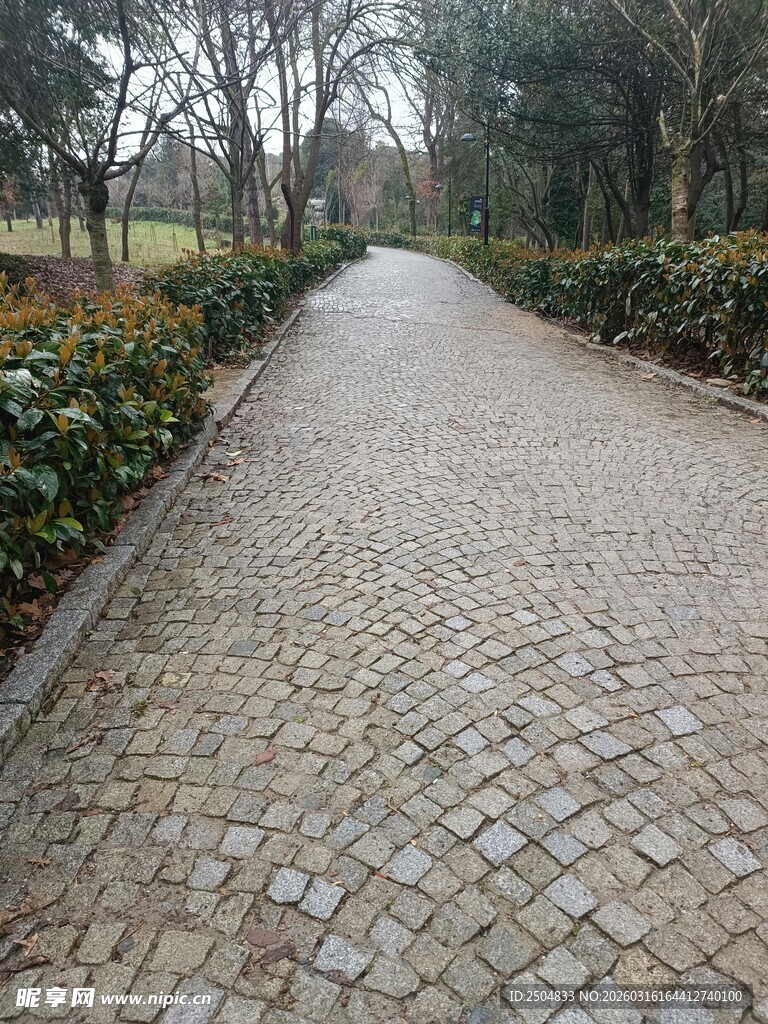 鹅卵石铺就的静谧园林小道