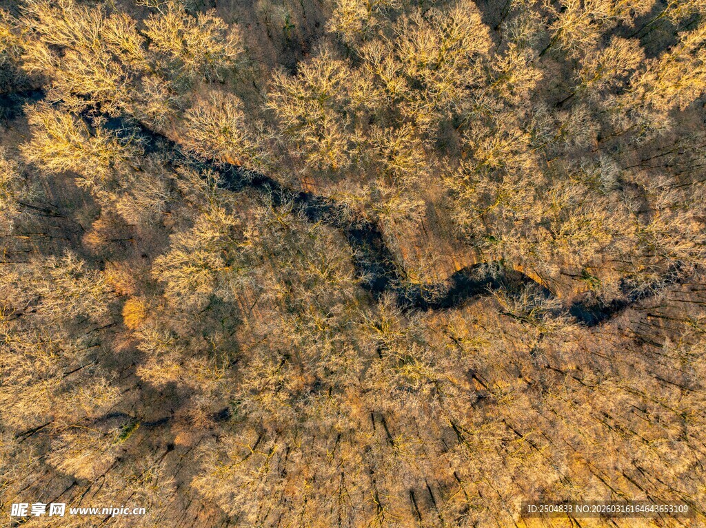 俯瞰秋日斑斓树林河流