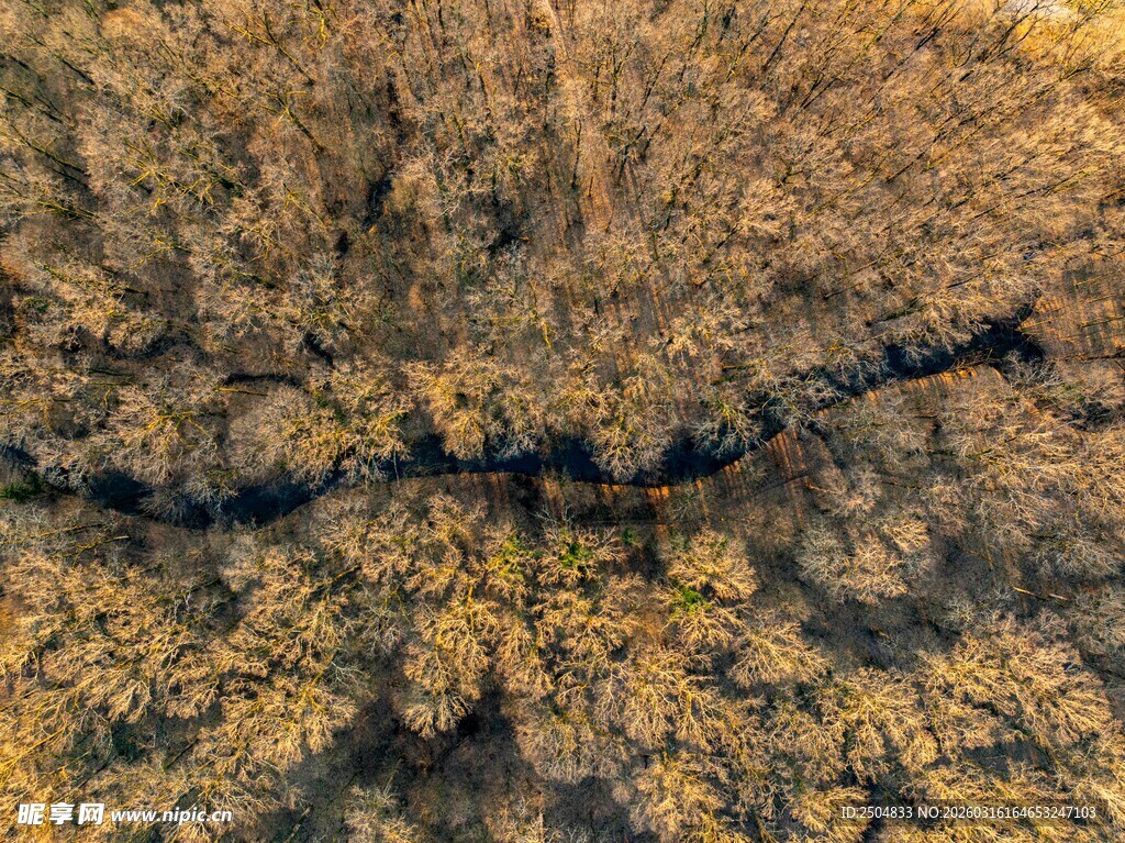 俯瞰秋日斑斓山谷景色