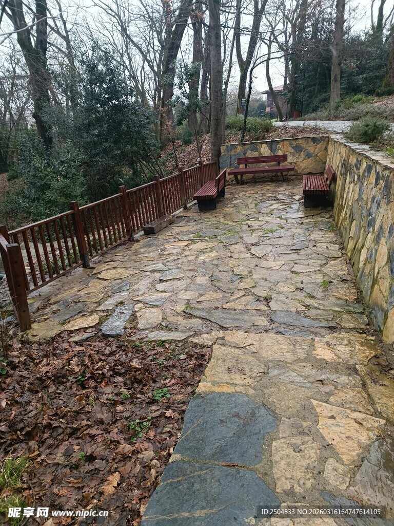 冬日林间石径与木质围栏