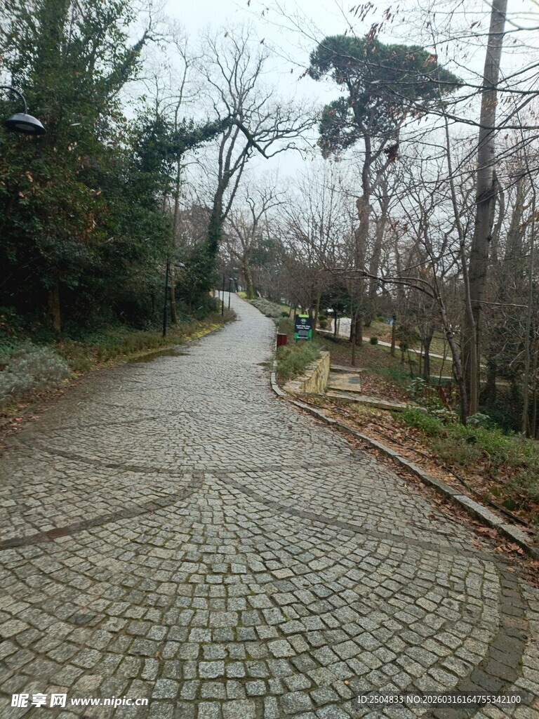 林间鹅卵石小径