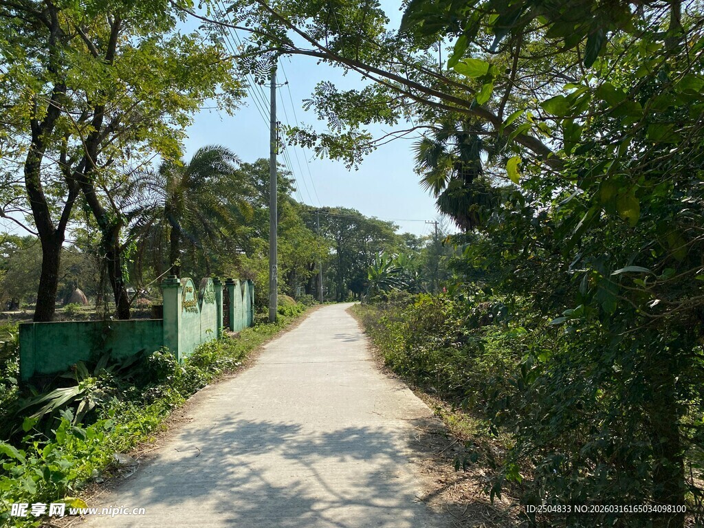 林间小道 静谧自然之景