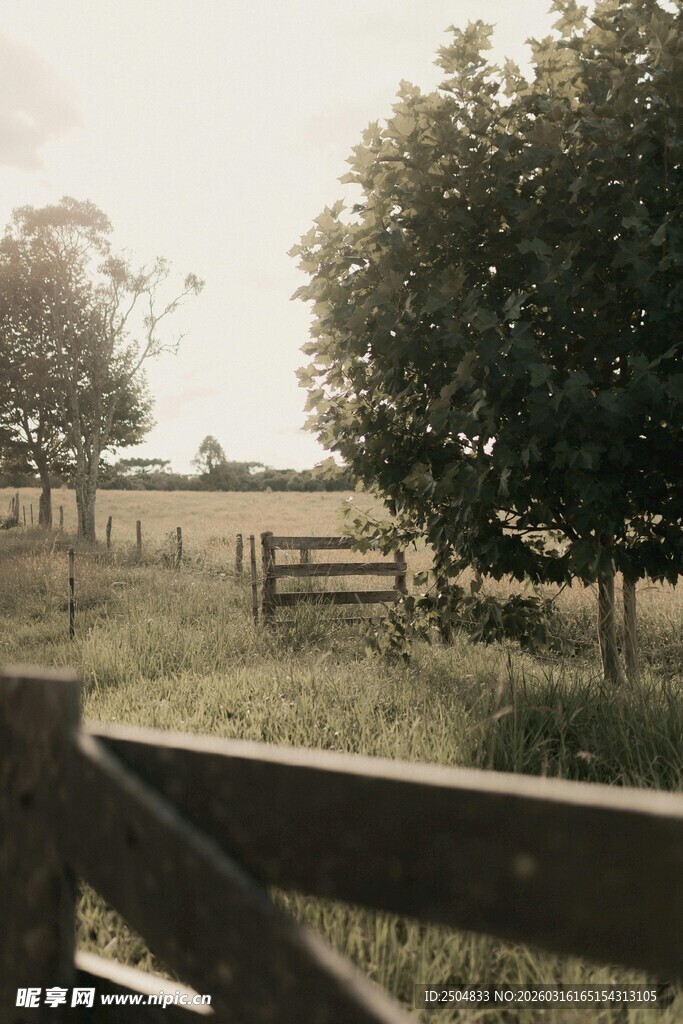 乡村田园木栏边的美丽景致