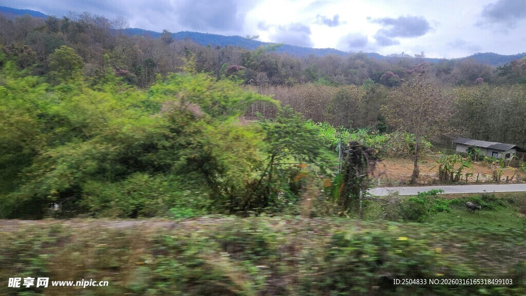 山间绿意盎然的乡村景致