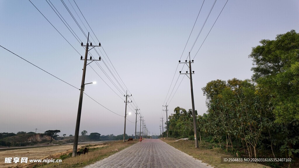 乡村公路旁的电线杆景观