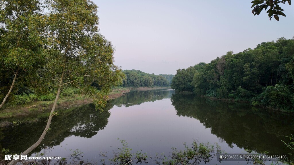 宁静河畔绿意盎然的风光