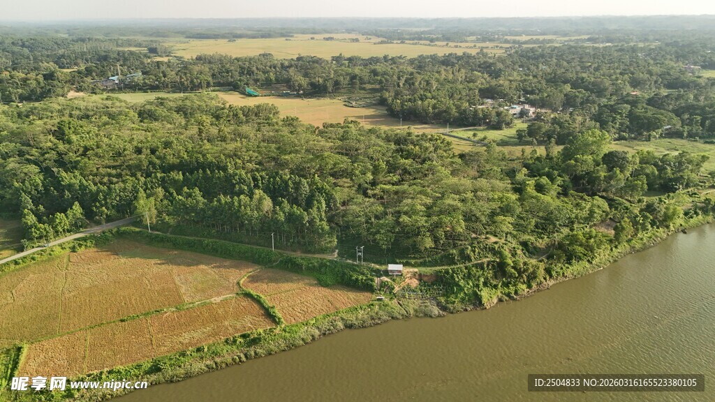 俯瞰河畔田野与茂密树林