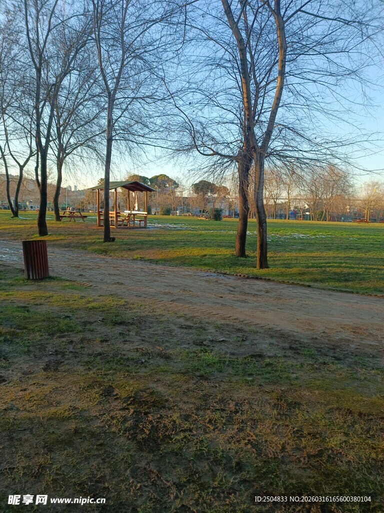 冬日公园小径景色