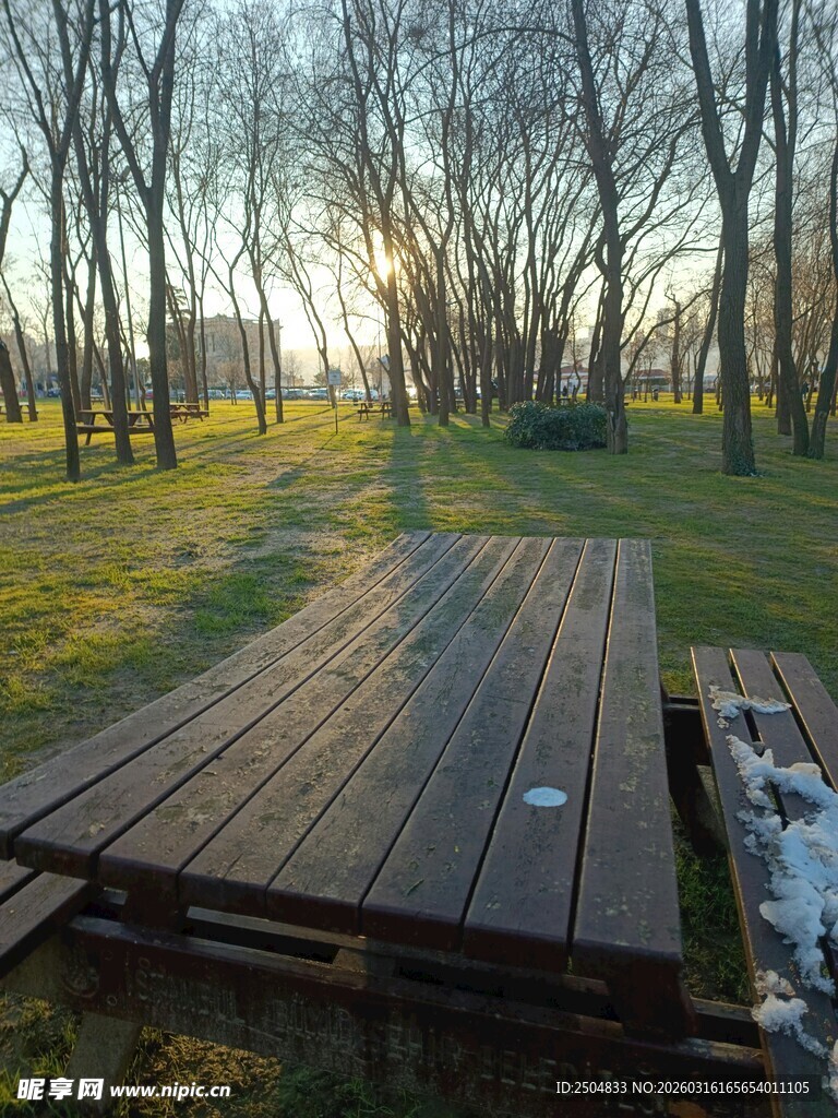 林间木质平台 静谧美景