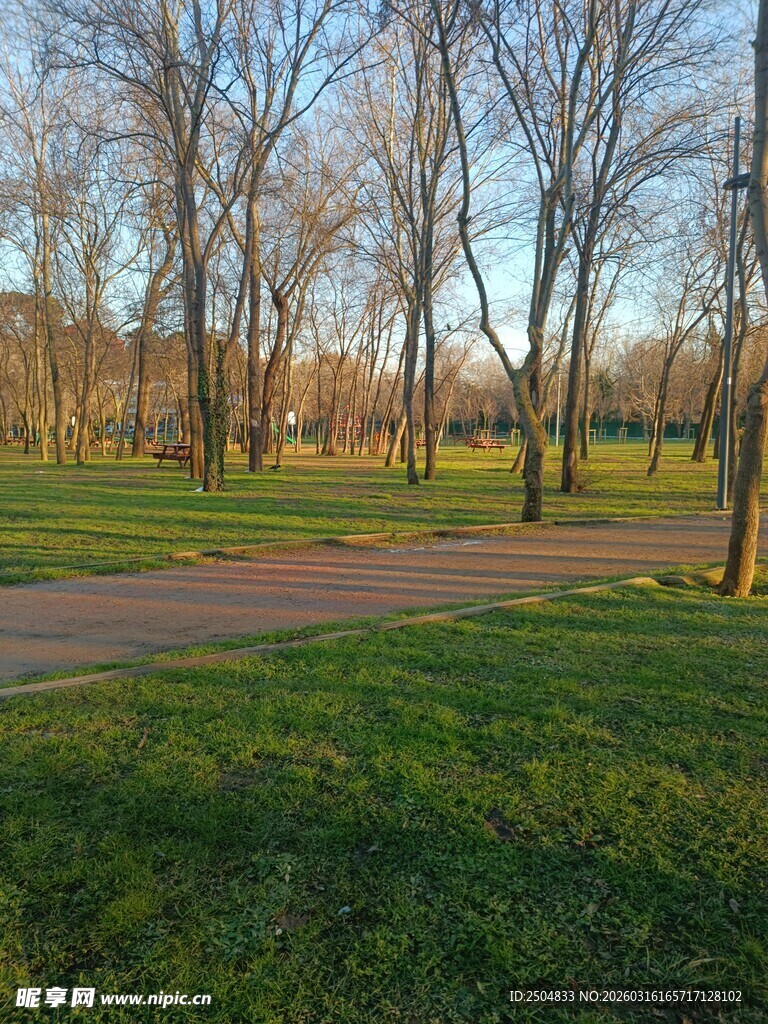 公园草地与林间小道