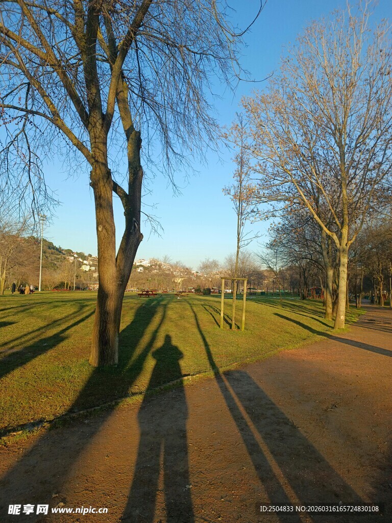 冬日公园小路的静谧景致