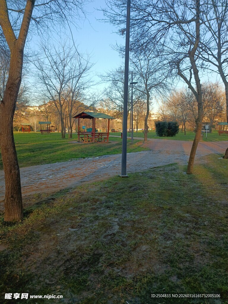 公园黄昏小路风景