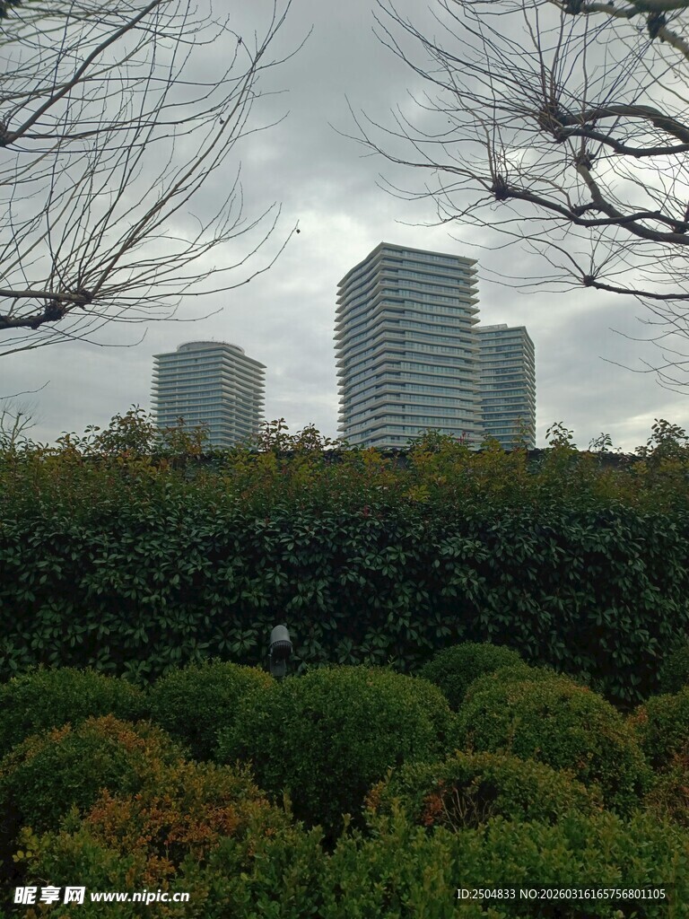 城市绿植间的高楼景观